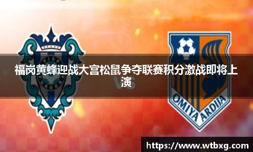 中欧体育平台